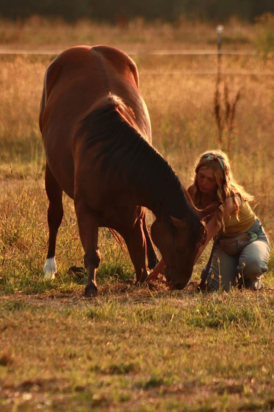 Maryah ’28 crouching beside Delilah as the mare grazes in an evening pasture