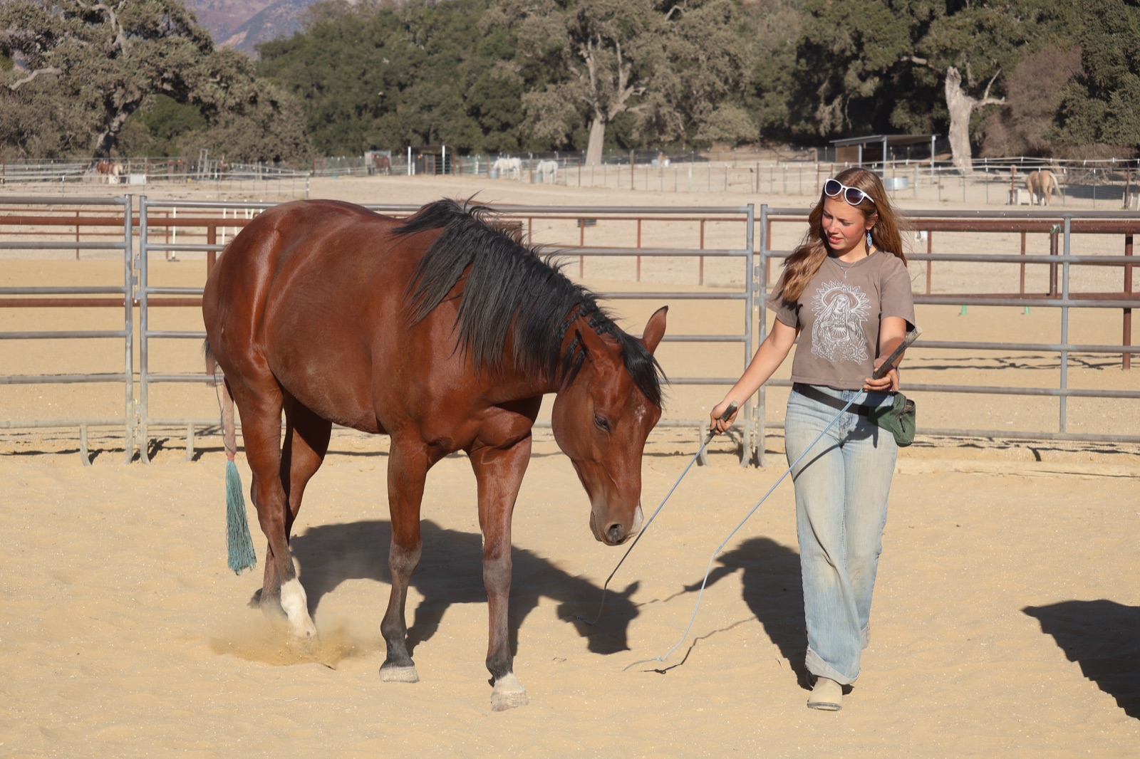 Maryah ’28 doing groundwork with Delilah in a sand arena